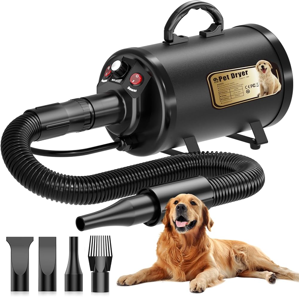secador adecuado para perros
secado profesional perro después del baño