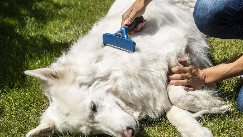csm furminator dog undercoat deshedding tool l in use 5 2020 min f86fa31b5d